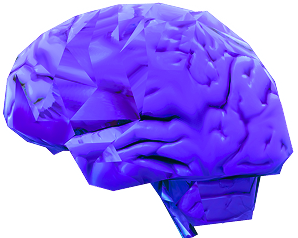 Brain logo
