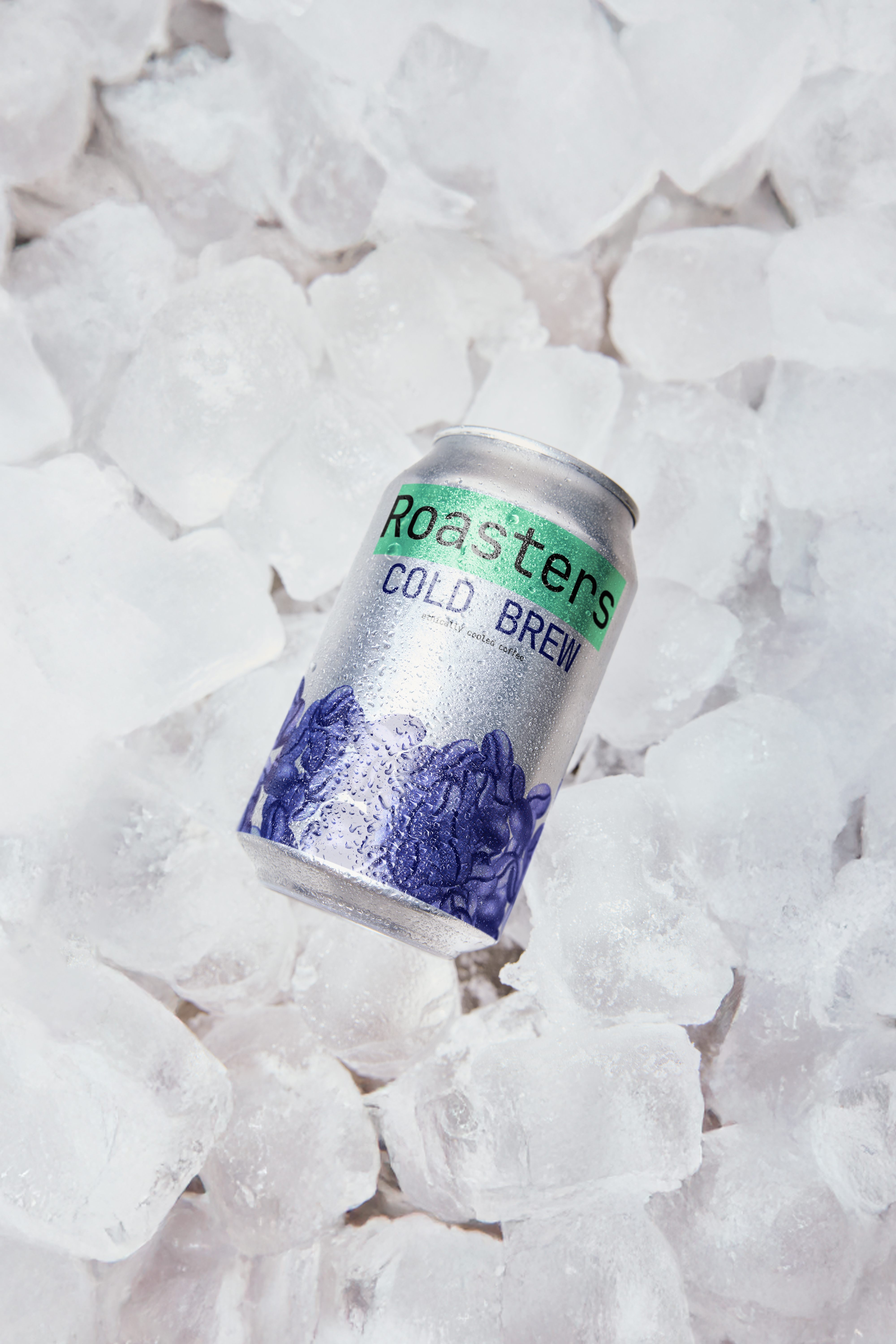 Roasters Coffee Cold Brew